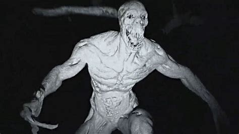 The Skinwalker Conundrum A Paranormal Labyrinth