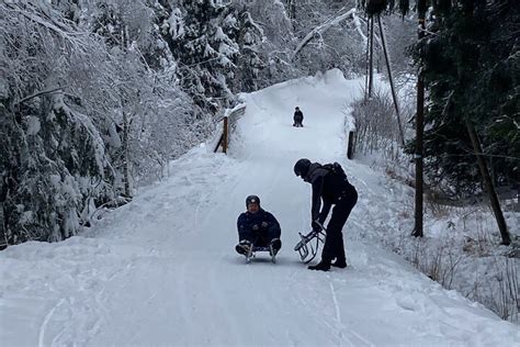 The Sledging Experience