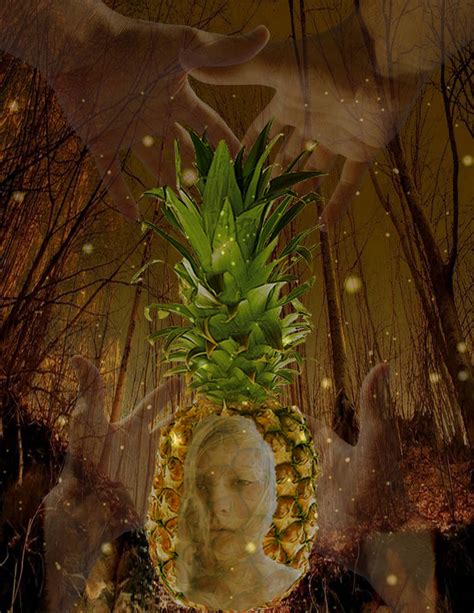 The+Sleepy+Pineapple