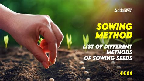 The Sowing Process: A Step-by-Step Guide