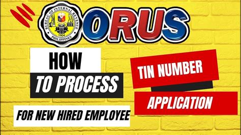 The Step-by-Step Process for Online TIN Application