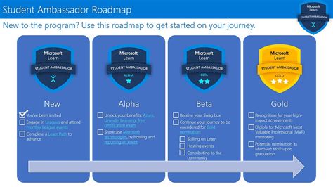 The Step-by-Step Process to Get Ambassador Opportunities