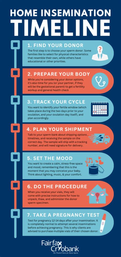 The Step-by-Step Reality of At-Home Insemination