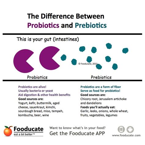 The Surprising Difference Between Probiotics and Prebiotics