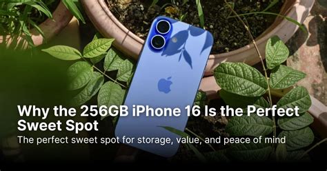 The Sweet Spot: Standard iPhone Models