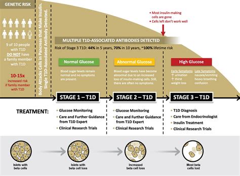 The T1D Staging System Explained