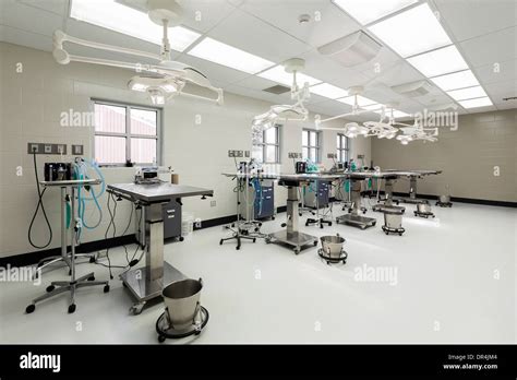 The Tables Animal Hospital: Providing Exceptional Pet Care Services