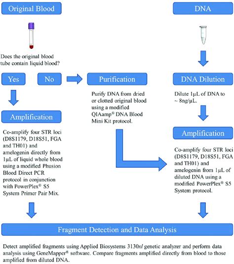 The Testing Process: Getting a Confirmation