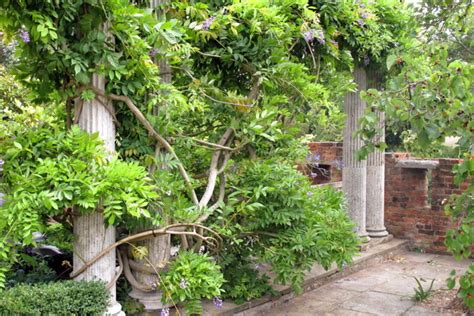 The To Remove or Not To Remove Dilemma