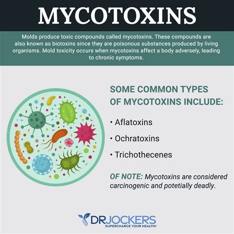 The Toxin Connection: Mycotoxins