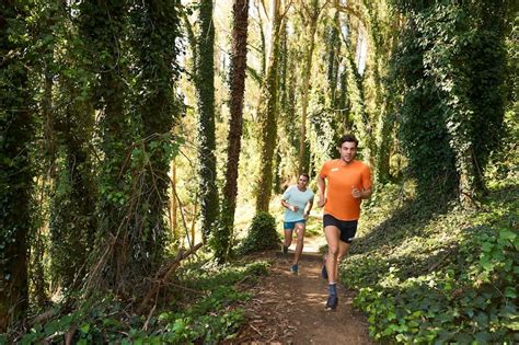 The Trail Experience