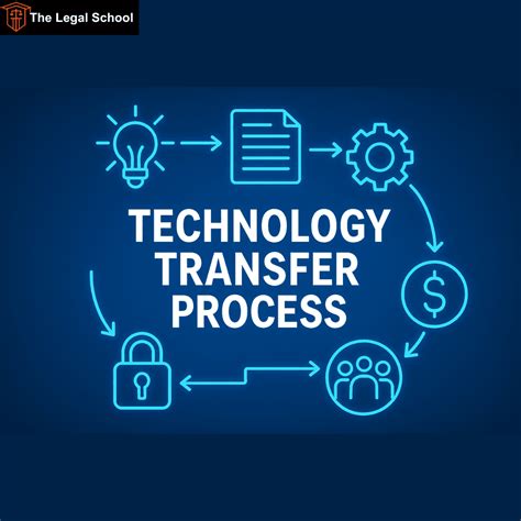 The Transfer Process: What to Expect