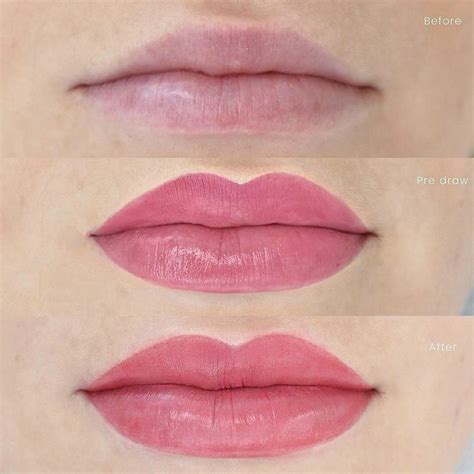 The Transformation Process: Getting to Mauve