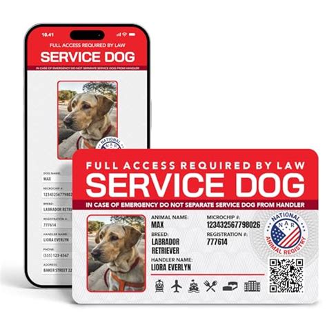 The Truth About Service Dog Registration Databases