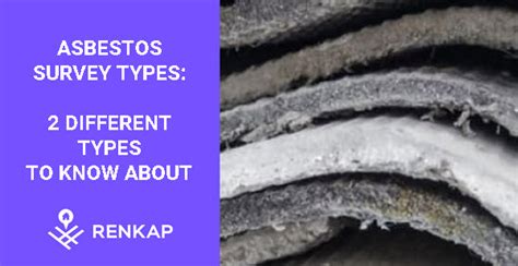 The Two Main Types Of Asbestos Survey