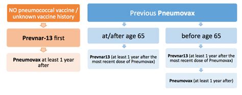 The Two Main Types of Pneumococcal Vaccines