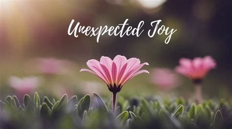The Unexpected Joy of Simplicity