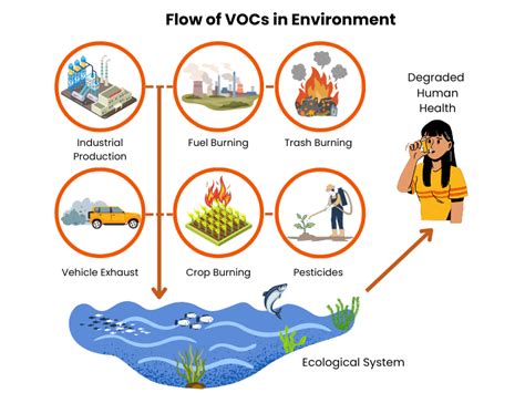 The VOC Problem: Understanding Volatile Organic Compounds