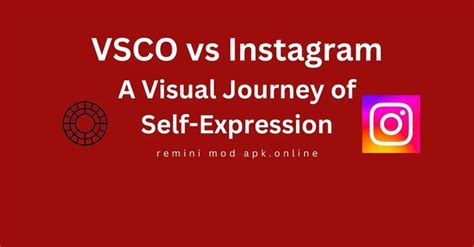 The VSCO Revolution: How the App is Transforming Visual Expression