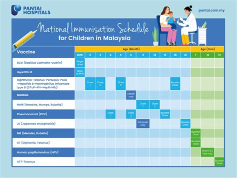 The Vaccination Schedule