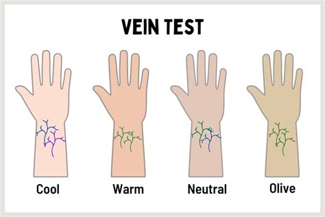The Vein+Test