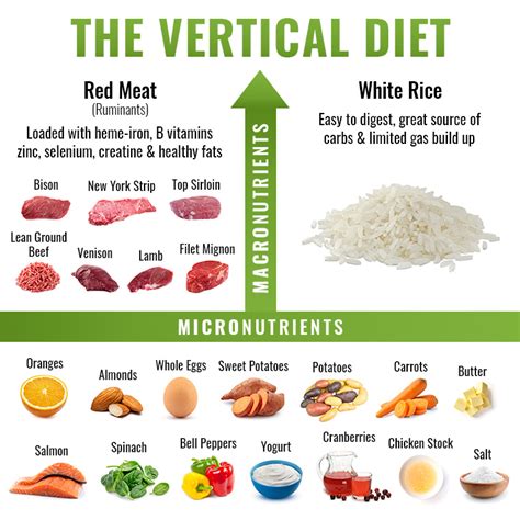 The Vertical Diet Pdf