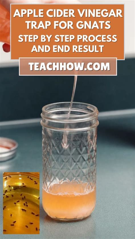 The Vinegar Trap Method