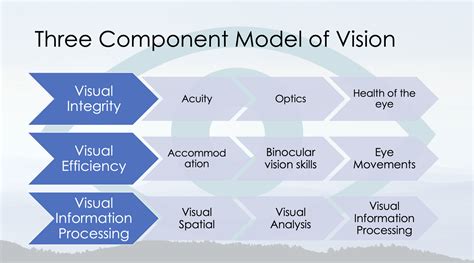 The Vision Component: Knowing Your Destination