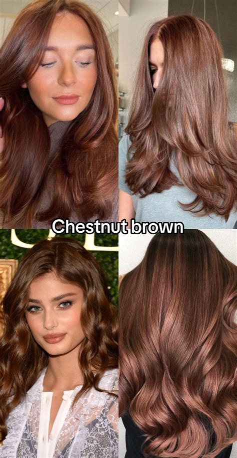 The Warmth of Chestnut Hair Color