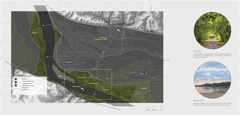 The Willow Resiliency Project