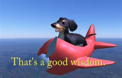 The Wisdom of a Dog