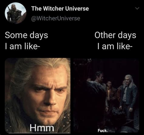 The Witcher Meme