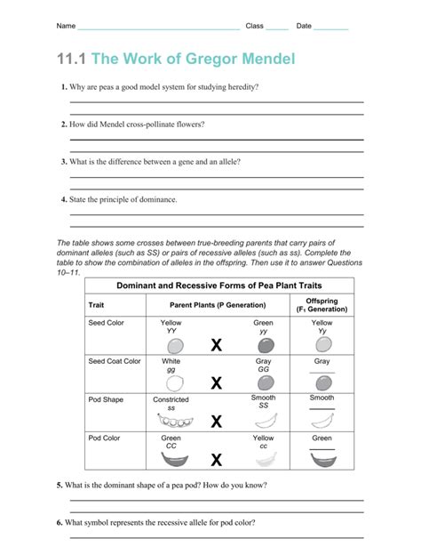 The Work Of Gregor Mendel Worksheet