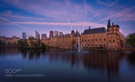 The hague