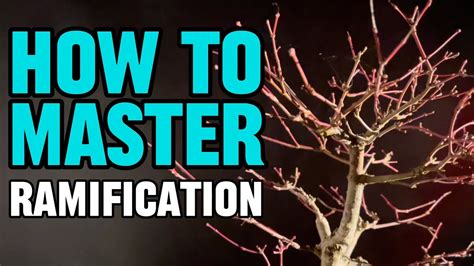 The in-game ramifications