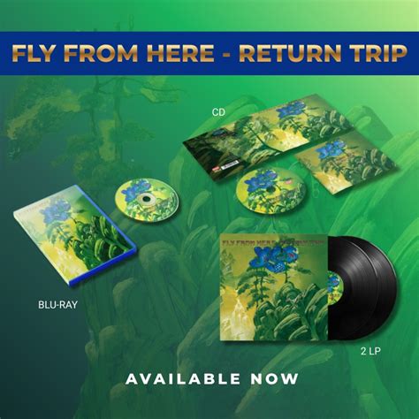 The return trip experience