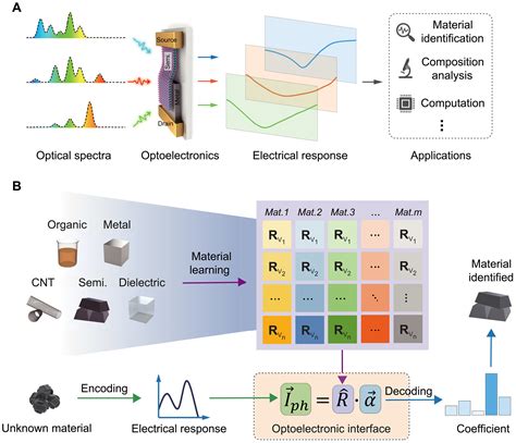 The speed and functioning succeeder : a tiny chip of Bluehost .