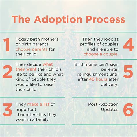 The Adoption Process Step-by-Step