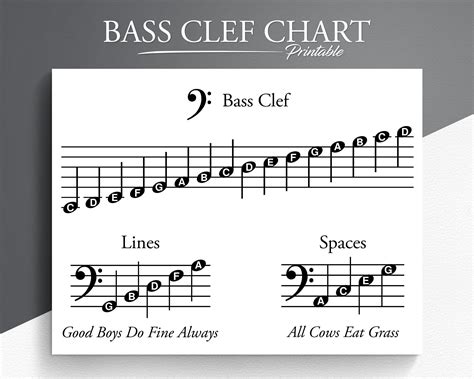 The Importance of Practice and Memorization while Reading Bass Tabs