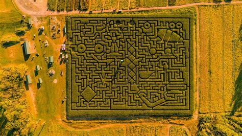 The-huge-halloweens-corn-maze-in-pennsylvania-poconos-region.jpg The Huge Halloweens Corn Maze In Pennsylvania Poconos Region Stock