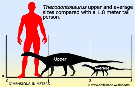 Thecodontosaurus Physical Characteristics