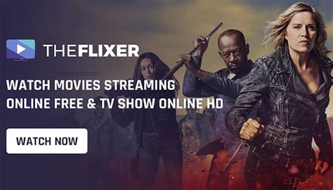 Theflixer streaming platform interface