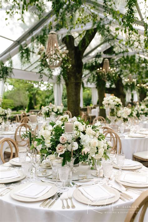 Theme Design Elegant