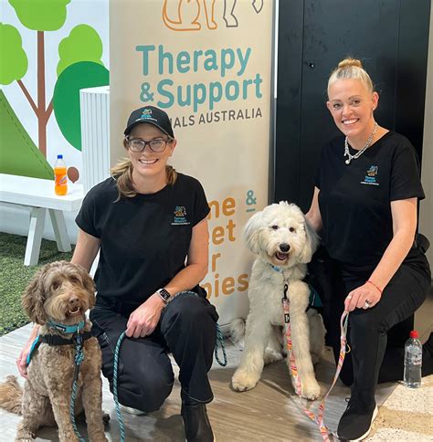 Therapy Dog and Handler Teamwork
