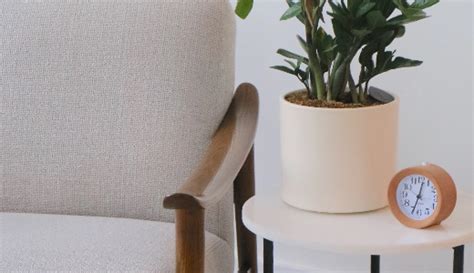 Therapy Session Chicago