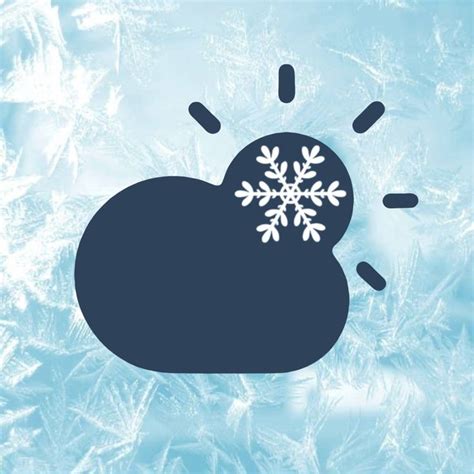 Stay Ahead of the Weather with a Thermostat Featuring Snowflake Integration on Our App
