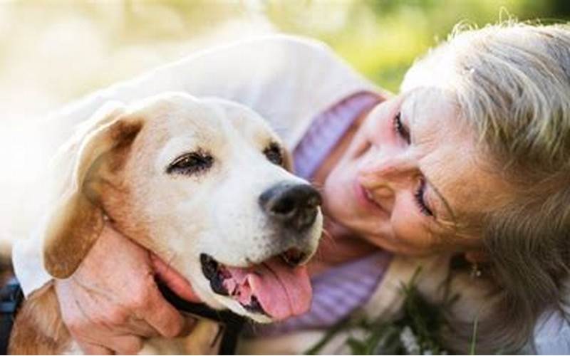 They Can Be Great Companions For Seniors