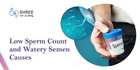 Thin Sperm: Causes, Testing & Solutions