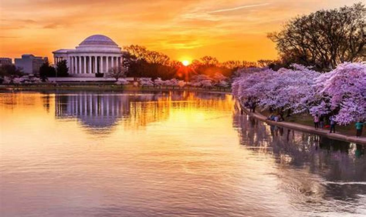 Things To Do In Dc In April 2024
