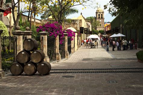 Things To Do In Tequila Town